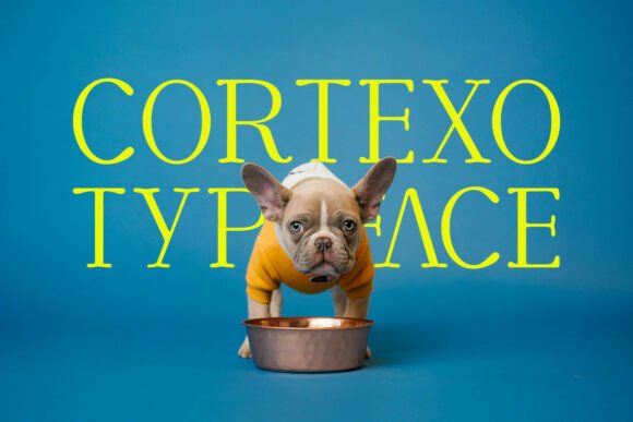 Cortexo: A Serif Font That Elevates Handmade Creations