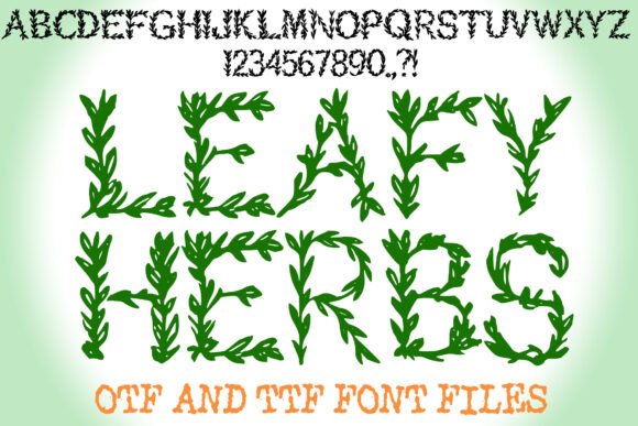 Leafy Herbs Font Review for Editorial Design