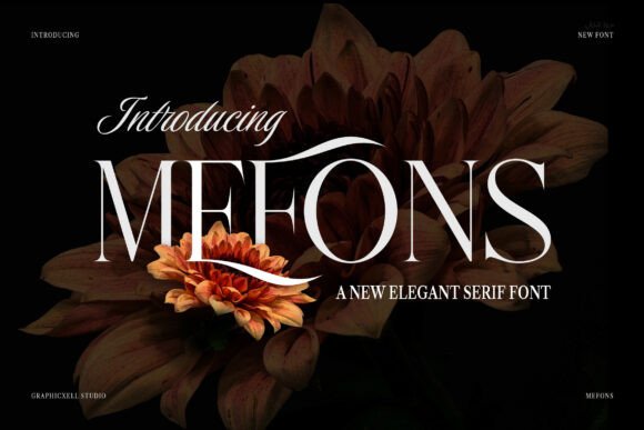 Mefons Serif Font for Campaign Design